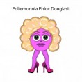 /album/stories/pollemonia-kopiera-jpg/